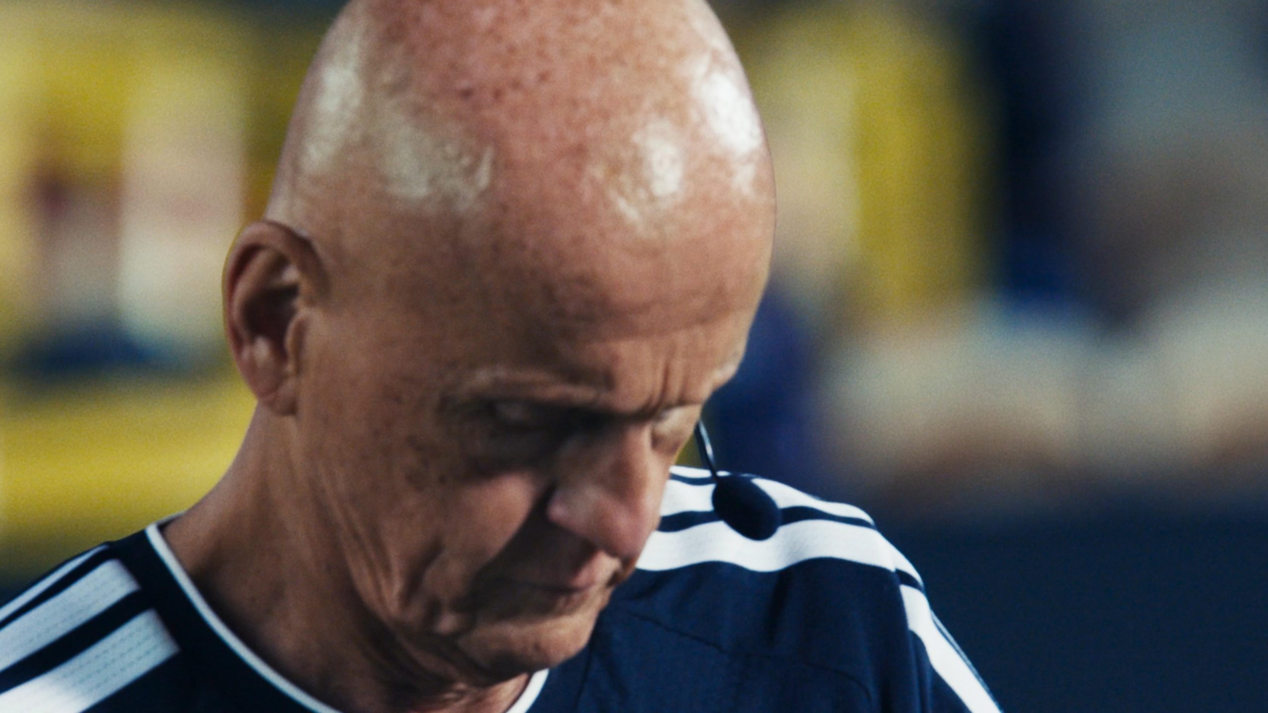Collina and Baggio are Ready!
